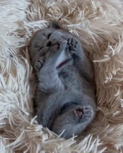 the most tender thing you will see today, happy Sunday !!!!