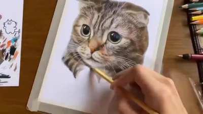 An artist makes a portrait of a cat using only colored pencils (@huwahuwa1_25 on Twitter)
