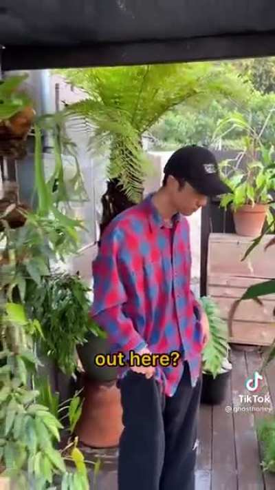 Plant tour part 2