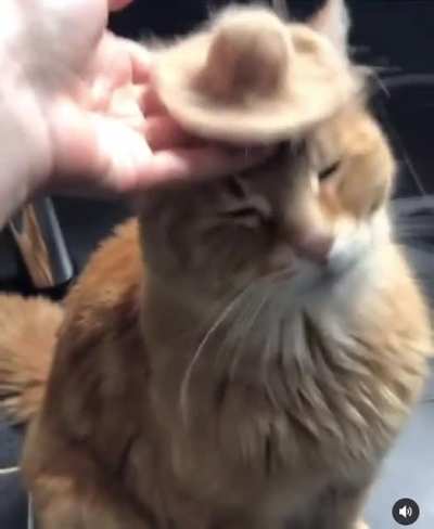 Are you serious now hooman
