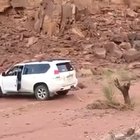 A typical idiot