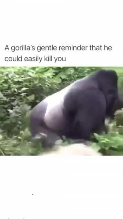 To Hide and record