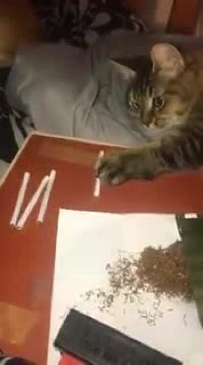 Maybe Maybe Maybe