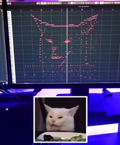 Table cat becomes a song