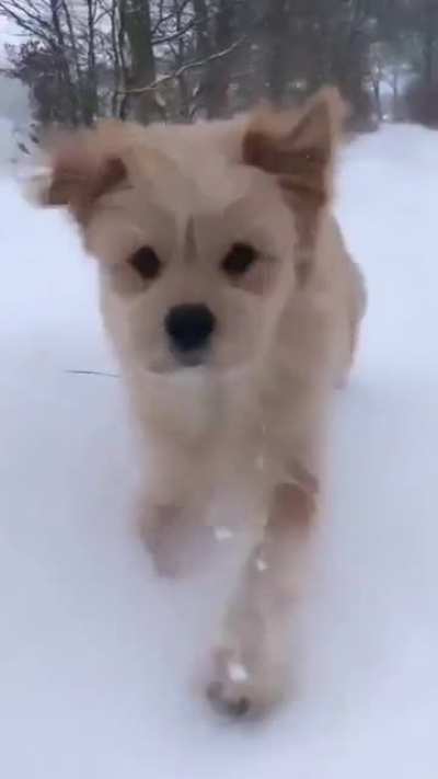 20 seconds of cuteness!