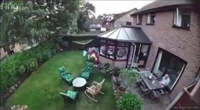 Just relaxing in the garden