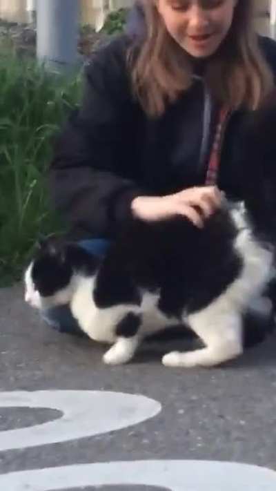 she was enjoying it i guess