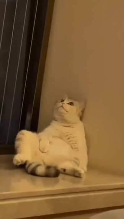 Life is hard