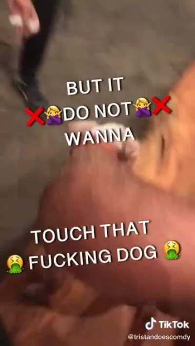 A hairless dog