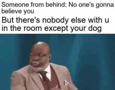 Yep dogs are great