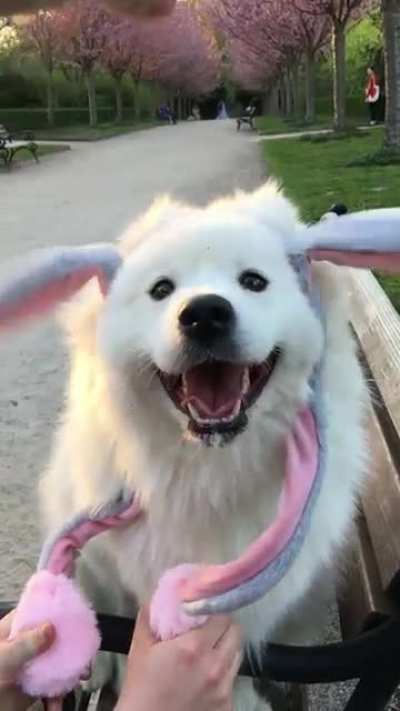 Hoppy Easter everybunny!