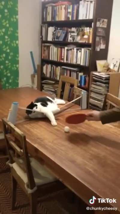 Cat being himself