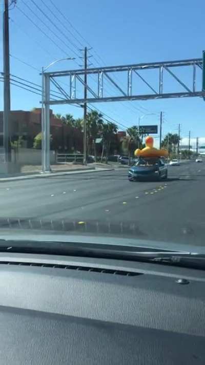 You see a lot of weird shit when visiting Vegas...sound on?