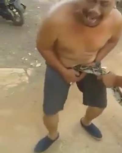 What could go wrong catching a snake