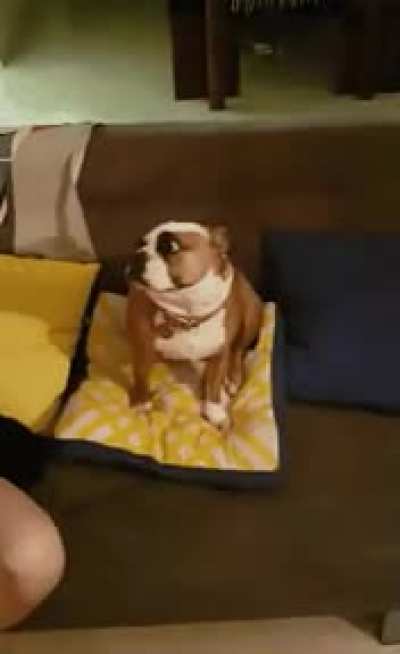 Not to worry you, but there's a demon on the couch