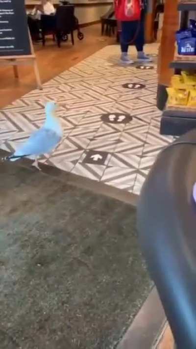 You little thief ?