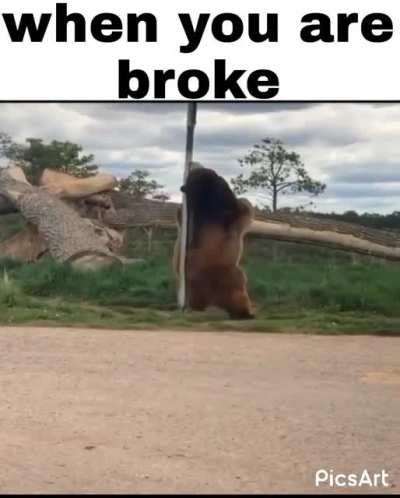 What else can you do