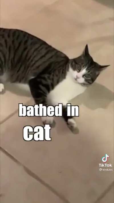 Have you done it, Sharon? (Pls suggest an appropriate sub)