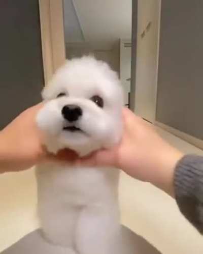Woah Cuteness Is Overloaded ?