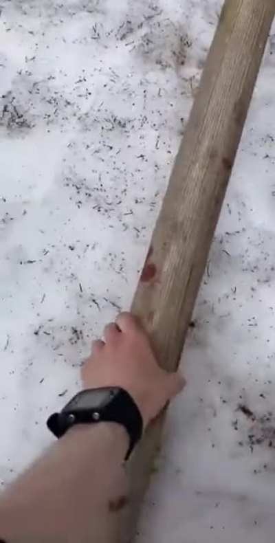 That's an incredible design!