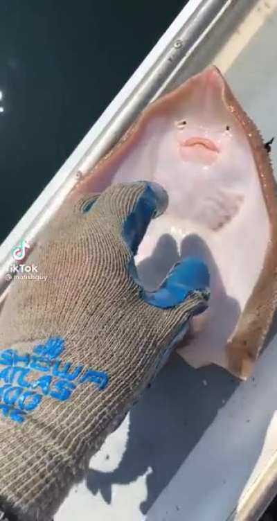 Tickling a Fish