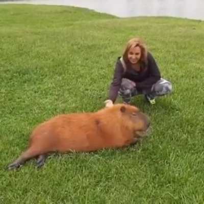 Maybe maybe maybe