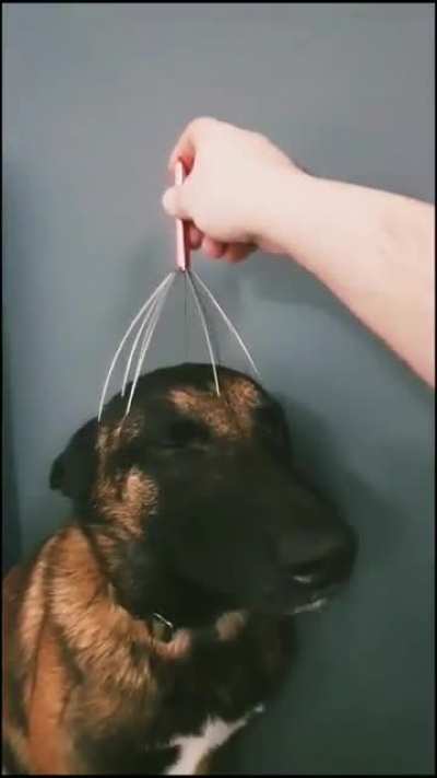 VOLUME UP ⬆️?