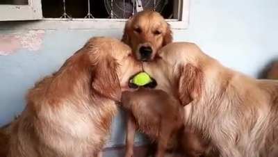 “I don’t want the ball, I just want to feel included"