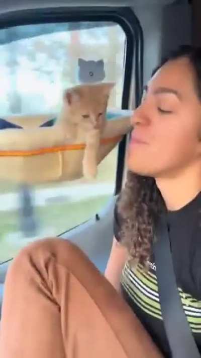 Enjoying the trip