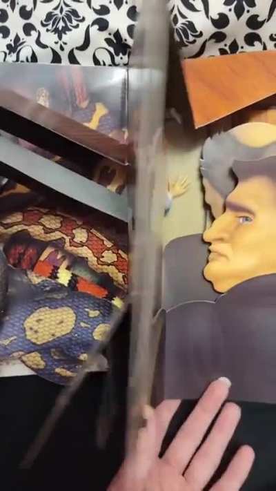 The Pop-up Book of Phobias