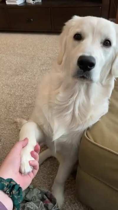 ? I wanna hold your hand... ?