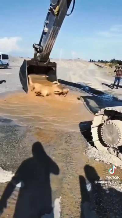Nice save