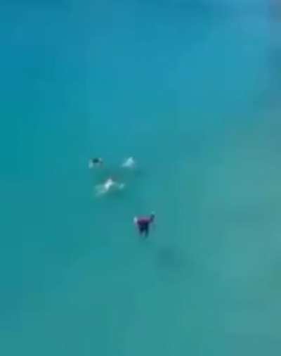 HMB, I'm in a bit of a hurry