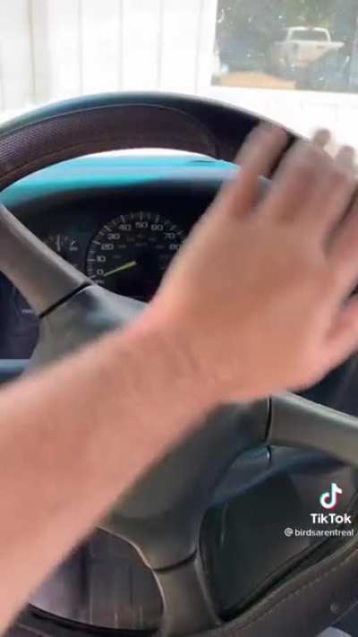Birds aren’t real