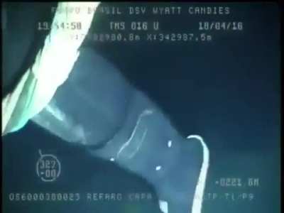 Diver gets attacked by a swordfish at 220m (721 feet) below surface