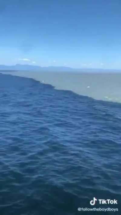 ? What you are really seeing is glacier water from Alaska meeting Pacific Ocean water.