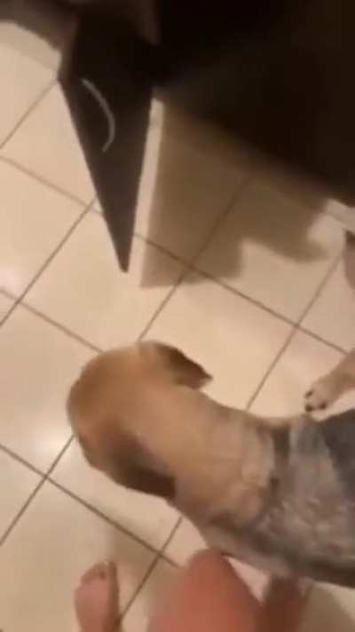 The slip at the end ?