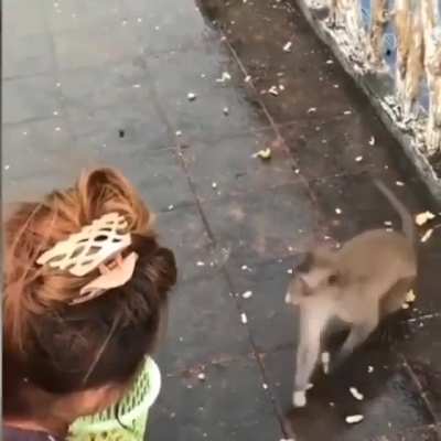 Maybe maybe maybe