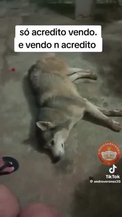 RIP Paul ?