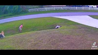 Dog comes the rescue to prevent mauling of a kid