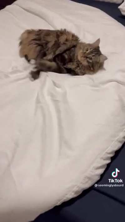 Turn the damn lights off!