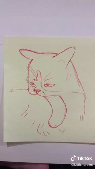 Drawing some Cats