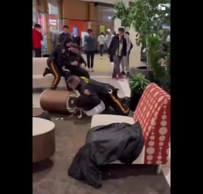 US/New Jersey/Bridgewater Mall The video shows a fight between two teenagers 14&amp;16 years old.parked outrage online after the video showed police pinning and handcuffing a Black teen on the ground while a white teen involved was left seated on a couch.