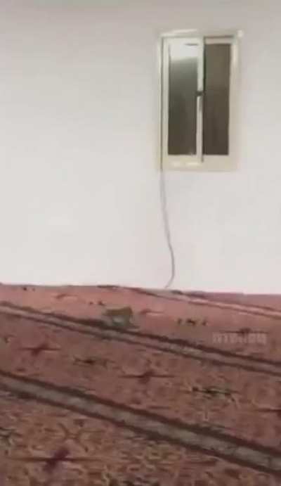 ?