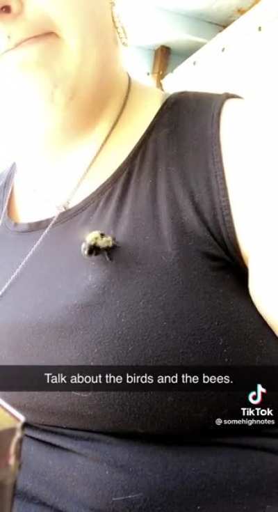 Bee said, “I’ll just show you.”