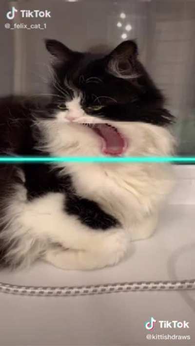 Maybe Maybe Maybe