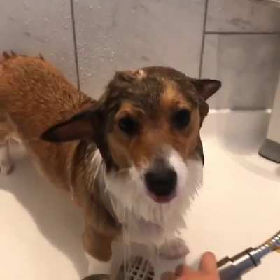 When you need that hot shower after a stressful day ❤️ ?‍♀️ ?