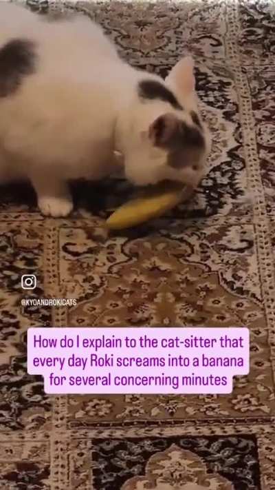He really gets into bananas