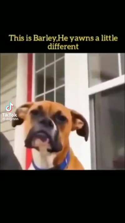 idk does this count?