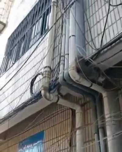 This tree that grew through the pipe...